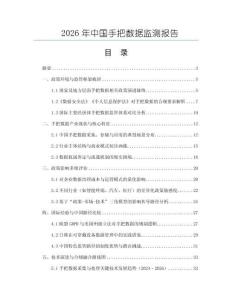 2026年中国手把数据监测报告