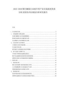 2025-2030黎巴嫩銀行業(yè)提升帶產(chǎn)業(yè)市場(chǎng)現(xiàn)狀供需分析及投資評(píng)估規(guī)劃分析研究報(bào)告