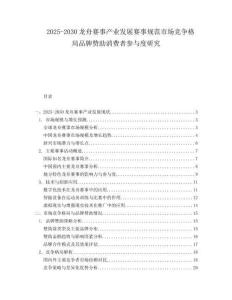 2025-2030龙舟赛事产业发展赛事规范市场竞争格局品牌赞助消费者参与度研究
