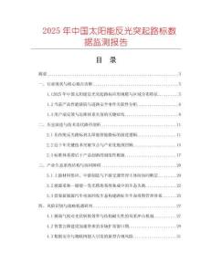 2025年中國太陽能反光突起路標數據監測報告