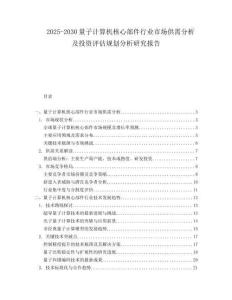 2025-2030量子计算机核心部件行业市场供需分析及投资评估规划分析研究报告