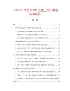 2025年中國(guó)WCDMA無線上網(wǎng)卡數(shù)據(jù)監(jiān)測(cè)報(bào)告