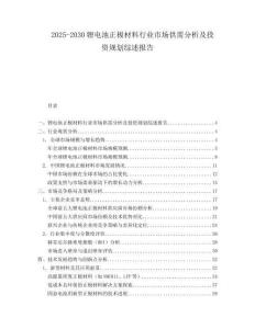 2025-2030锂电池正极材料行业市场供需分析及投资规划综述报告
