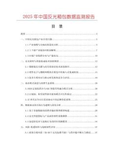 2025年中国反光箱包数据监测报告