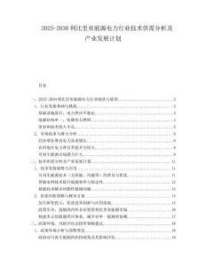 2025-2030利比里亞能源電力行業(yè)技術(shù)供需分析及產(chǎn)業(yè)發(fā)展計(jì)劃