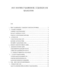 2025-2030鋰離子電池模組組裝工藝溫度監(jiān)控方案優(yōu)化項(xiàng)目管理