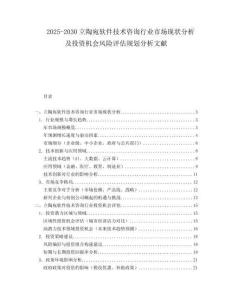 2025-2030立陶宛軟件技術咨詢行業市場現狀分析及投資機會風險評估規劃分析文獻