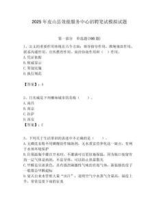 2025年皮山县效能服务中心招聘笔试模拟试题附答案