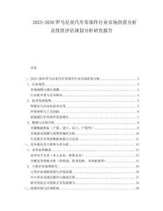 2025-2030羅馬尼亞汽車零部件行業(yè)市場供需分析及投資評估規(guī)劃分析研究報告