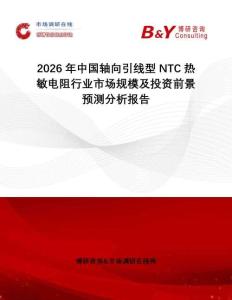 2026年中國軸向引線型NTC熱敏電阻行業市場規模及投資前景預測分析報告