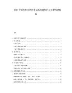 2025智慧燈桿多功能集成系統投資回報模型構建報告