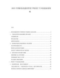 2025中國新農(nóng)村建設(shè)背景下吸頂燈下鄉(xiāng)渠道拓展策略