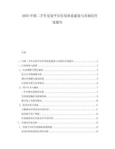 2025中國二手車交易平臺信用體系建設與市場信任度報告
