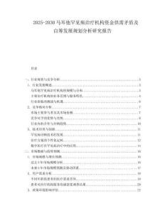2025-2030馬耳他罕見病治療機構資金供需矛盾及自籌發展規劃分析研究報告