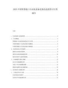 2025中國(guó)智慧港口自動(dòng)化設(shè)備更新改造投資可行性報(bào)告
