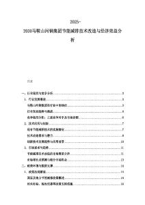 2025-2030馬鞍山河鋼集團節能減排技術改造與經濟效益分析