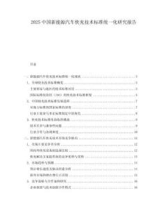 2025中國新能源汽車快充技術(shù)標(biāo)準(zhǔn)統(tǒng)一化研究報告