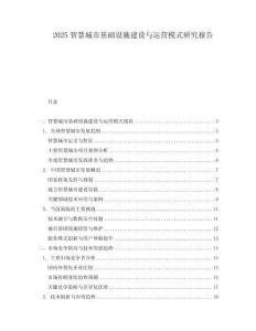 2025智慧城市基礎(chǔ)設(shè)施建設(shè)與運(yùn)營(yíng)模式研究報(bào)告