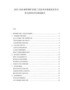 2025-2030秘魯銅礦冶煉工藝技術市場現狀競爭分析及投資評估規劃報告
