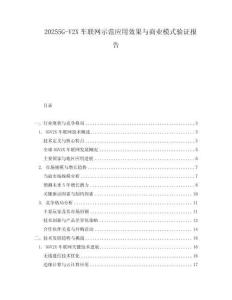 20255G-V2X車聯(lián)網(wǎng)示范應(yīng)用效果與商業(yè)模式驗證報告