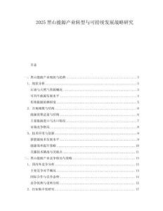 2025黑山能源產業轉型與可持續發展戰略研究