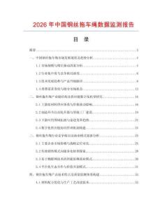2026年中國(guó)鋼絲拖車?yán)K數(shù)據(jù)監(jiān)測(cè)報(bào)告