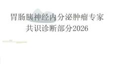 胃腸胰神經內分泌腫瘤專家共識診斷部分2026