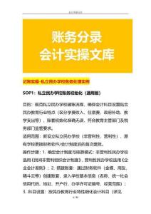 記賬實操-私立民辦學校賬務處理實例
