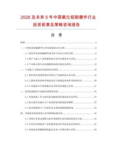 2026及未來5年中國氧化鋁耐磨件行業投資前景及策略咨詢報告