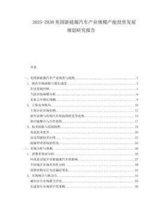 2025-2030美国新能源汽车产业规模产能投资发展规划研究报告