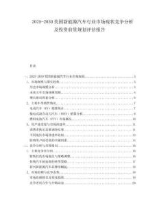 2025-2030美国新能源汽车行业市场现状竞争分析及投资前景规划评估报告