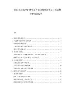 2025森林航空護林實施方案現狀經濟效益分析森林管護探索報告
