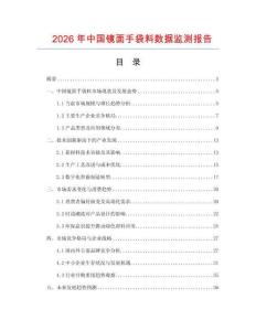 2026年中国镜面手袋料数据监测报告