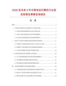 2026及未來5年中國電動打磨機行業(yè)投資前景及策略咨詢報告