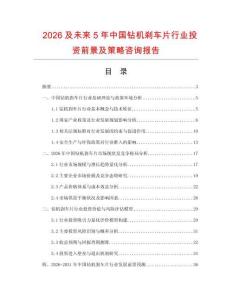 2026及未來5年中國鉆機剎車片行業投資前景及策略咨詢報告