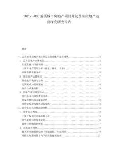 2025-2030孟買城市房地產項目開發及商業地產運營深度研究報告