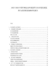 2025-2030中國車輛運動外觀套件行業市場發展趨勢與前景展望戰略研究報告