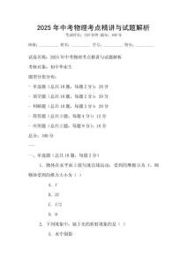 2025年中考物理考點精講與試題解析