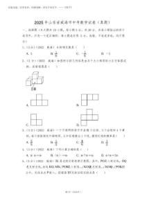 2025年山東省威海市中考數學試卷(解析版)