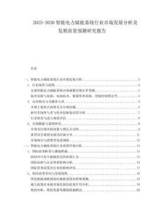 2025-2030智能電力儲能系統(tǒng)行業(yè)市場發(fā)展分析及發(fā)展前景預(yù)測研究報告