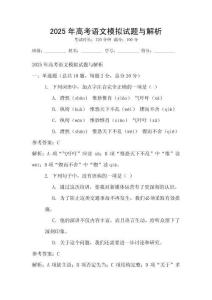 2025年高考語文模擬試題與解析