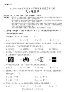 廣東省陽江市陽西縣2024-2025學年九年級上學期期末考試數學試題