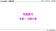 南方新課堂·金牌學(xué)案 數(shù)學(xué)七年級下冊 專題一  代數(shù)計(jì)算