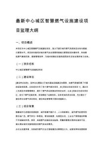 最新中心城區智慧燃氣設施建設項目監理大綱
