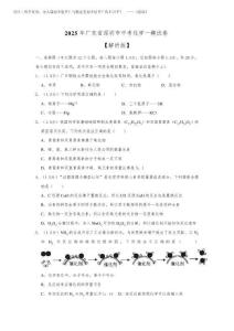 2025年廣東省深圳市中考化學一模試卷 帶詳解