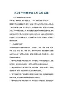 2024年教案检查工作总结五篇