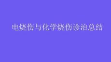 電燒傷與化學燒傷診治總結2026
