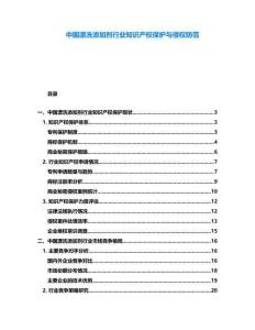 中國漂洗添加劑行業(yè)知識產(chǎn)權(quán)保護與侵權(quán)防范