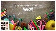 《灰冠鹤》美术教育PPT绘画课件创意教程教案