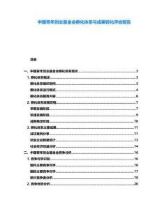 中國(guó)青年創(chuàng)業(yè)基金會(huì)孵化體系與成果轉(zhuǎn)化評(píng)估報(bào)告
